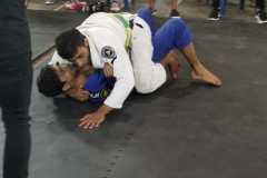 a28c44e8-1056-463f-8e7b-d1d0fb8518ea